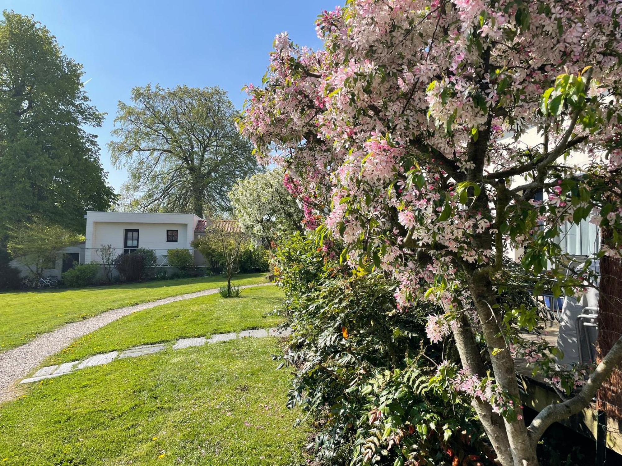 Bed & Breakfast Le Clos Du Miroir Courset